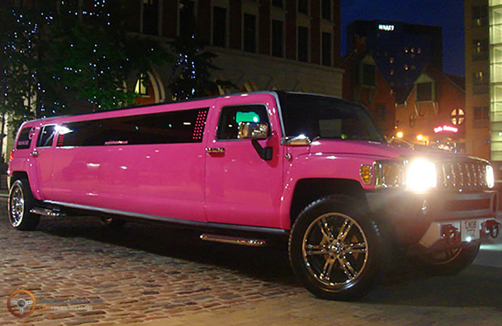 PinkHummer01 1 1